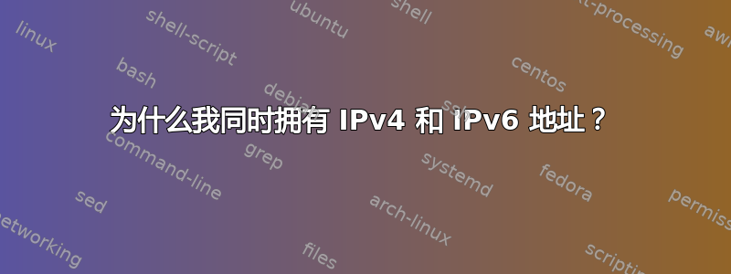 为什么我同时拥有 IPv4 和 IPv6 地址？