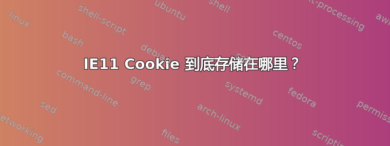 IE11 Cookie 到底存储在哪里？