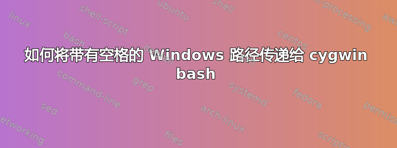 如何将带有空格的 Windows 路径传递给 cygwin bash