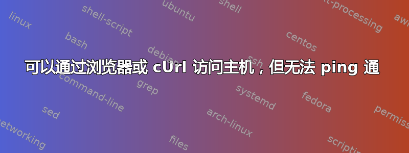 可以通过浏览器或 cUrl 访问主机，但无法 ping 通