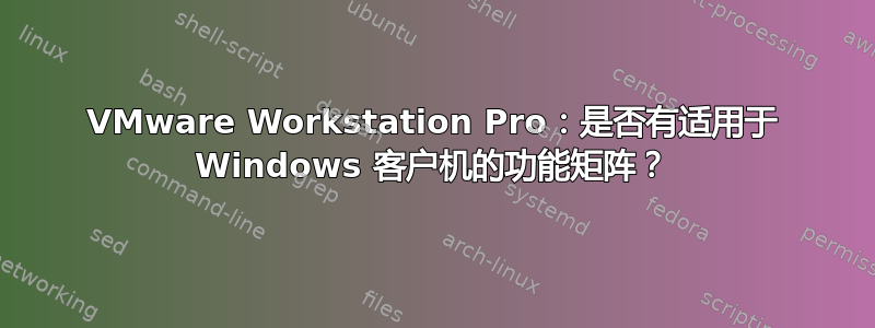 VMware Workstation Pro：是否有适用于 Windows 客户机的功能矩阵？