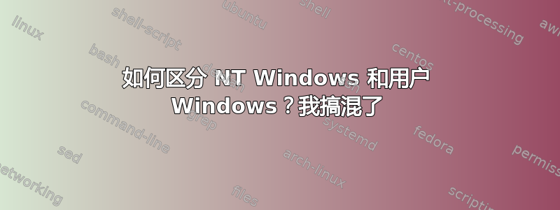 如何区分 NT Windows 和用户 Windows？我搞混了