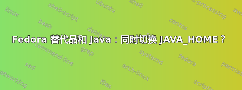 Fedora 替代品和 Java：同时切换 JAVA_HOME？