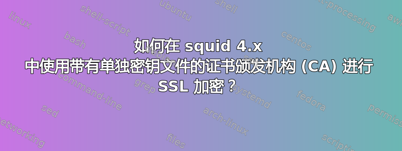 如何在 squid 4.x 中使用带有单独密钥文件的证书颁发机构 (CA) 进行 SSL 加密？