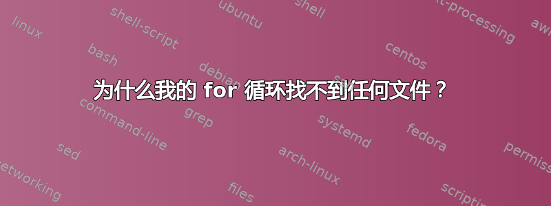 为什么我的 for 循环找不到任何文件？