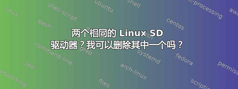 两个相同的 Linux SD 驱动器？我可以删除其中一个吗？