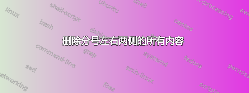 删除分号左右两侧的所有内容