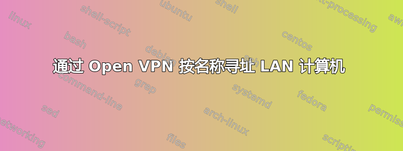 通过 Open VPN 按名称寻址 LAN 计算机