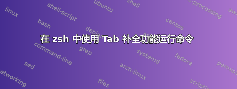 在 zsh 中使用 Tab 补全功能运行命令