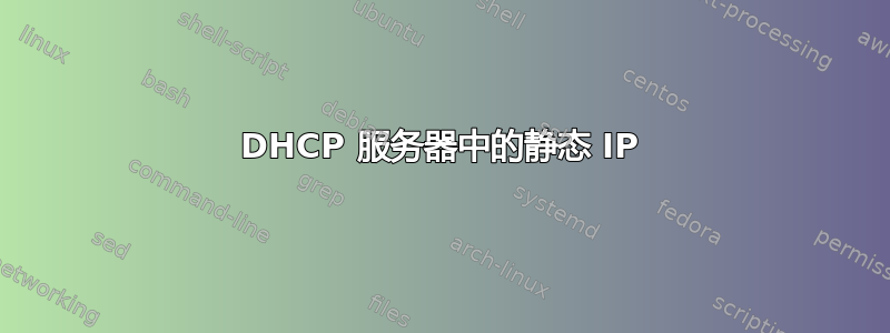 DHCP 服务器中的静态 IP