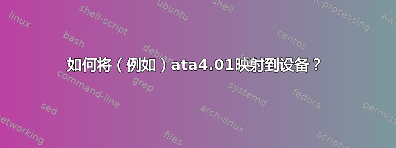 如何将（例如）ata4.01映射到设备？