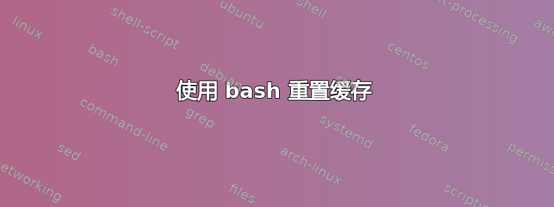 使用 bash 重置缓存