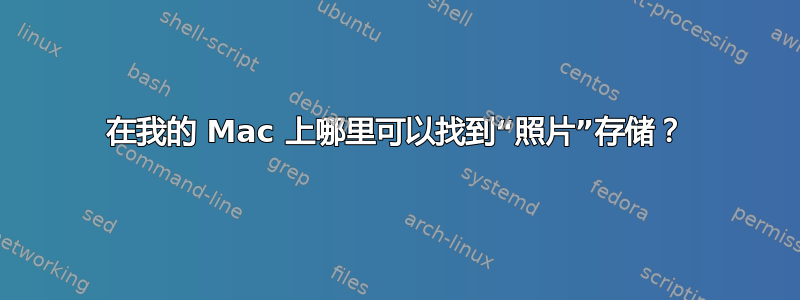 在我的 Mac 上哪里可以找到“照片”存储？