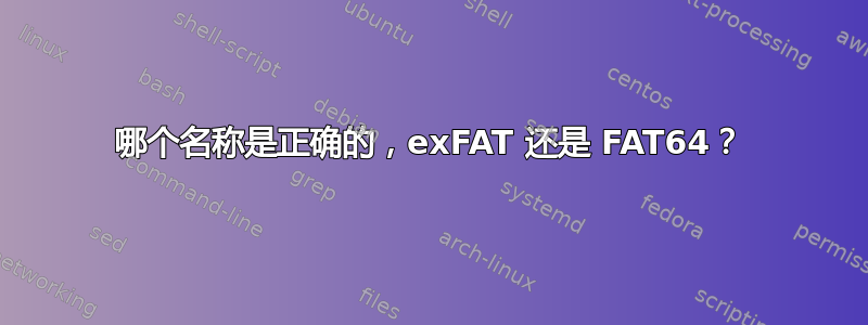 哪个名称是正确的，exFAT 还是 FAT64？