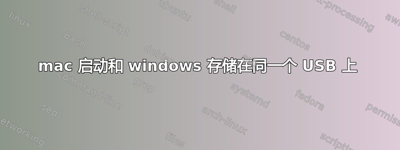 mac 启动和 windows 存储在同一个 USB 上