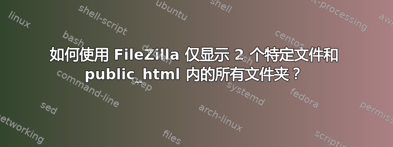 如何使用 FileZilla 仅显示 2 个特定文件和 public_html 内的所有文件夹？