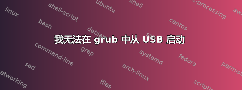 我无法在 grub 中从 USB 启动