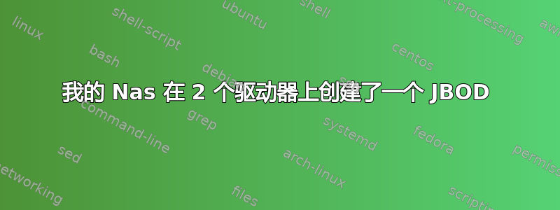 我的 Nas 在 2 个驱动器上创建了一个 JBOD