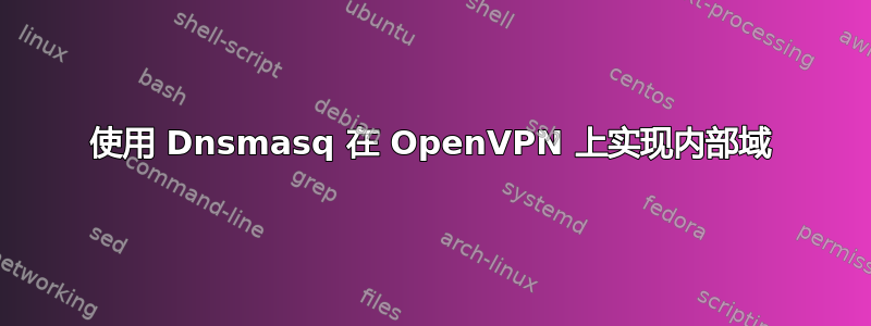 使用 Dnsmasq 在 OpenVPN 上实现内部域