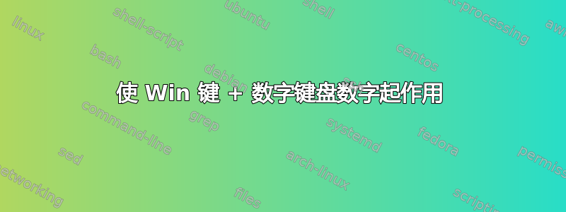 使 Win 键 + 数字键盘数字起作用