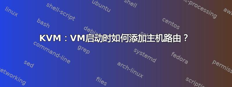 KVM：VM启动时如何添加主机路由？