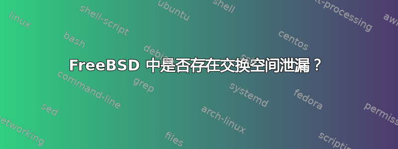 FreeBSD 中是否存在交换空间泄漏？