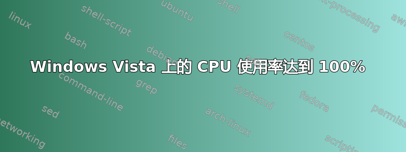 Windows Vista 上的 CPU 使用率达到 100% 