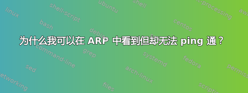 为什么我可以在 ARP 中看到但却无法 ping 通？