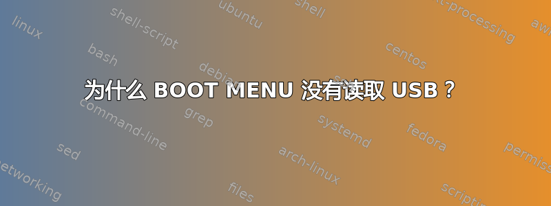 为什么 BOOT MENU 没有读取 USB？