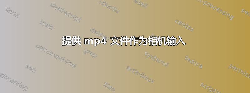 提供 mp4 文件作为相机输入