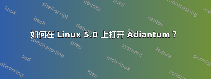 如何在 Linux 5.0 上打开 Adiantum？