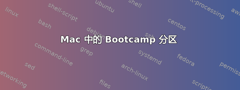 Mac 中的 Bootcamp 分区