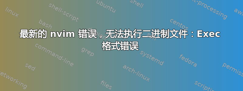 最新的 nvim 错误，无法执行二进制文件：Exec 格式错误