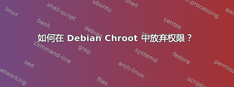 如何在 Debian Chroot 中放弃权限？