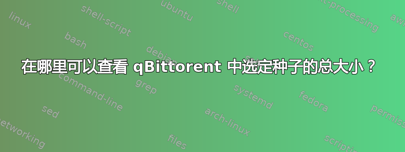 在哪里可以查看 qBittorent 中选定种子的总大小？