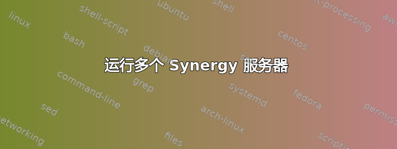 运行多个 Synergy 服务器