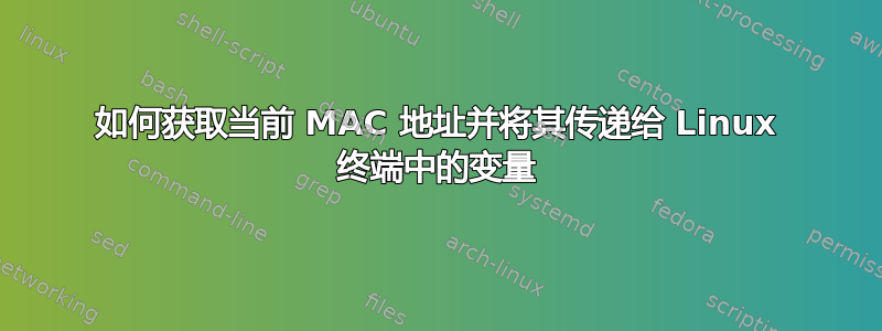 如何获取当前 MAC 地址并将其传递给 Linux 终端中的变量