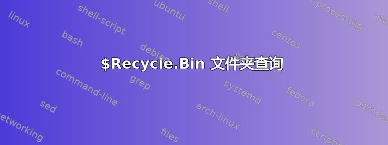 $Recycle.Bin 文件夹查询