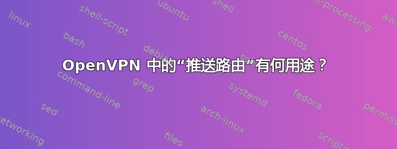 OpenVPN 中的“推送路由”有何用途？