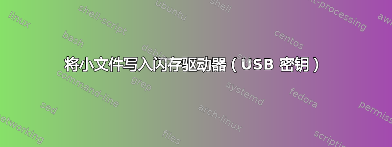 将小文件写入闪存驱动器（USB 密钥）