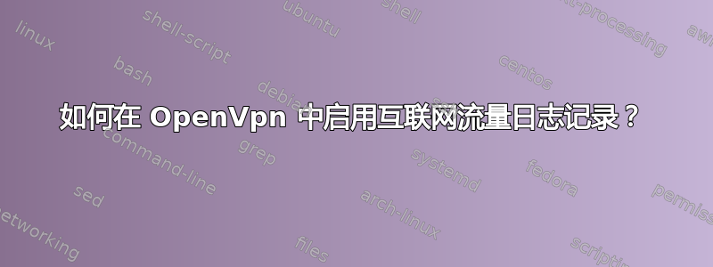 如何在 OpenVpn 中启用互联网流量日志记录？