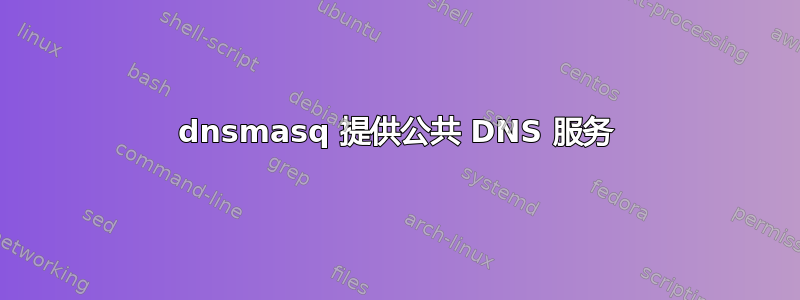 dnsmasq 提供公共 DNS 服务