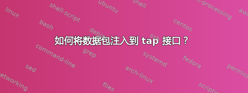 如何将数据包注入到 tap 接口？