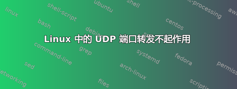 Linux 中的 UDP 端口转发不起作用