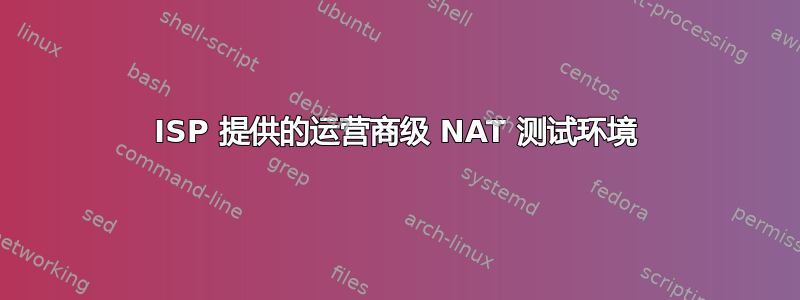 ISP 提供的运营商级 NAT 测试环境