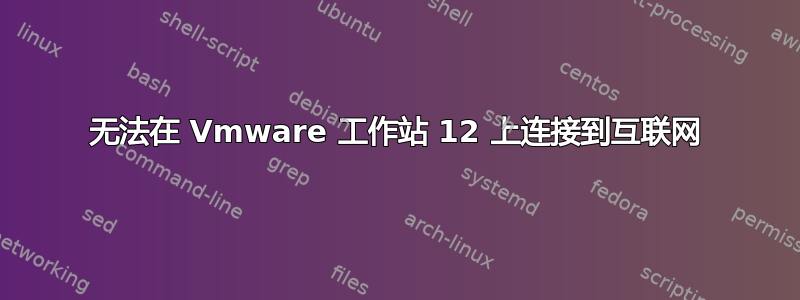 无法在 Vmware 工作站 12 上连接到互联网