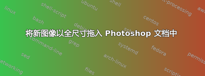 将新图像以全尺寸拖入 Photoshop 文档中