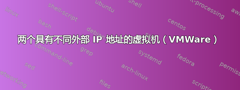 两个具有不同外部 IP 地址的虚拟机（VMWare）