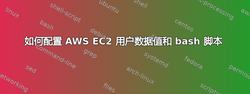 如何配置 AWS EC2 用户数据值和 bash 脚本