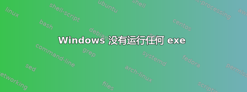 Windows 没有运行任何 exe